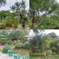 Nanjing 5 Days Itinerary