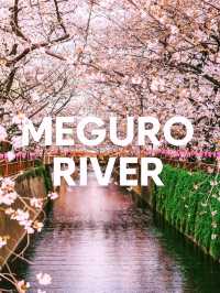 Top daytime spots in Tokyo ( number 3 may be a surprise)