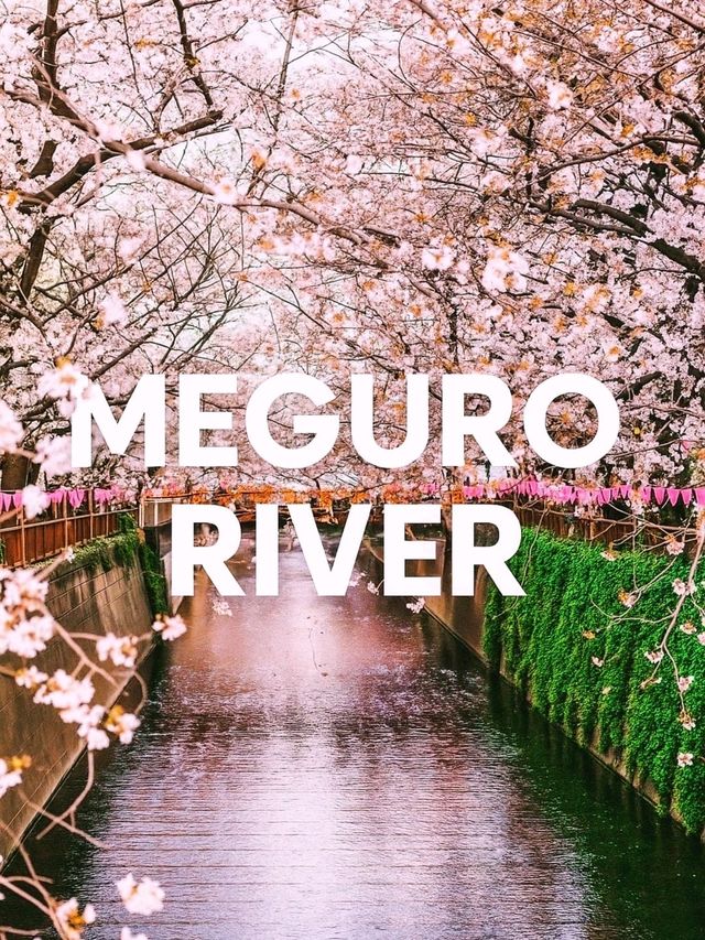 Top daytime spots in Tokyo ( number 3 may be a surprise)