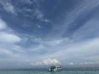 Захватывающее приключение на один день.