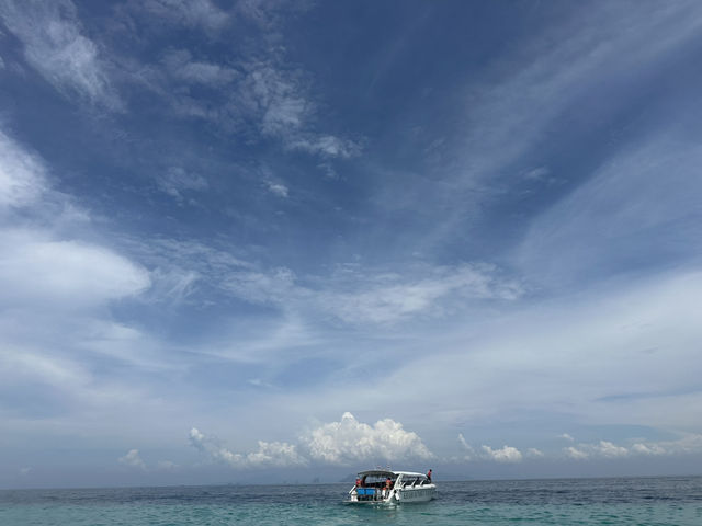 Захватывающее приключение на один день.