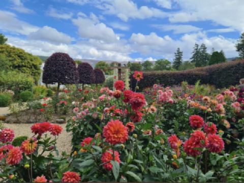 คฤหาสน์ไคล์ซี่