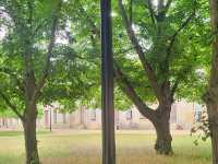 英國劍橋大學唐寧學院
