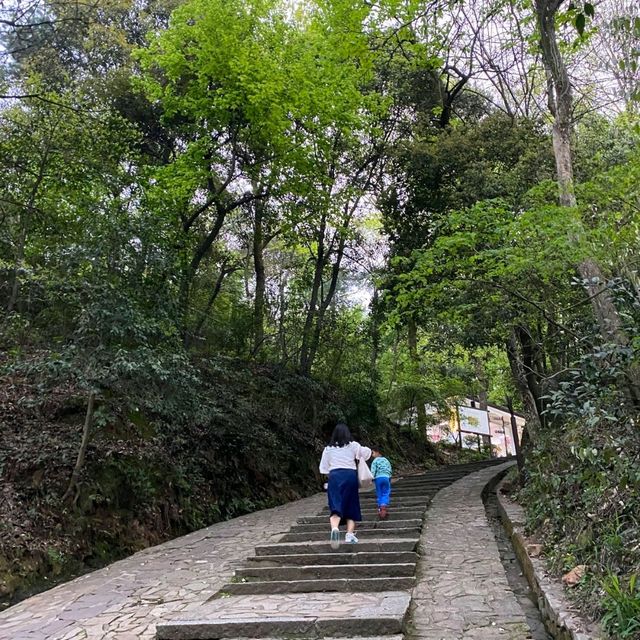 風水寶地 嶽麓山