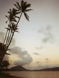 March's Hawaii Ocean Park is super beautiful, satisfying all your requirements for an island.
