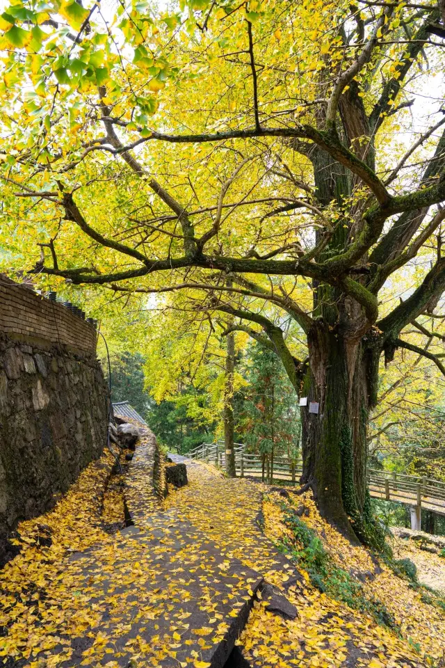 경주