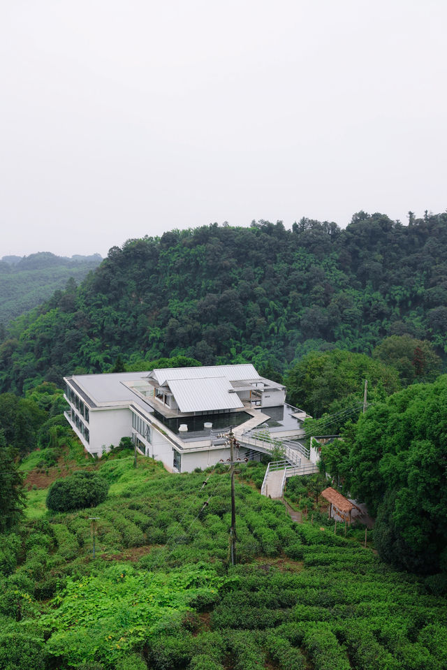 成都遛娃好去處｜遠離城市喧囂的的天然氧吧