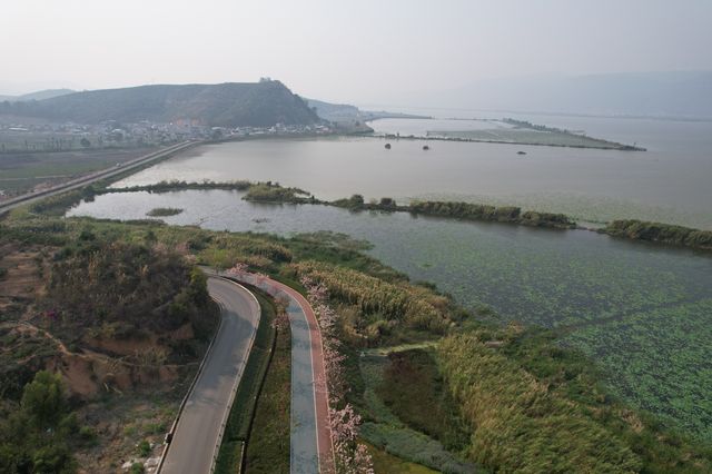 異龍湖是雲南省九大高原湖泊之一，是石屏人民的母親湖，屬省級風景名勝區
