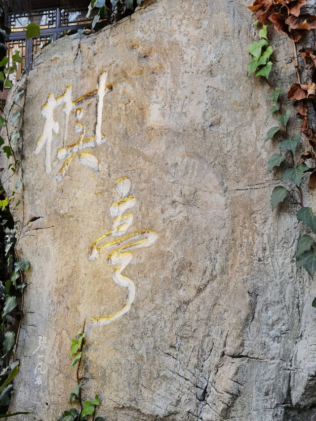 【多彩貴州·花溪公園】“十里河灘”最靚處