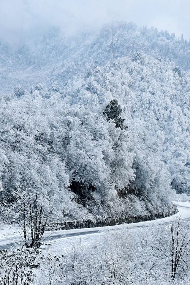 成都近郊的冰雪王國！西嶺雪山！