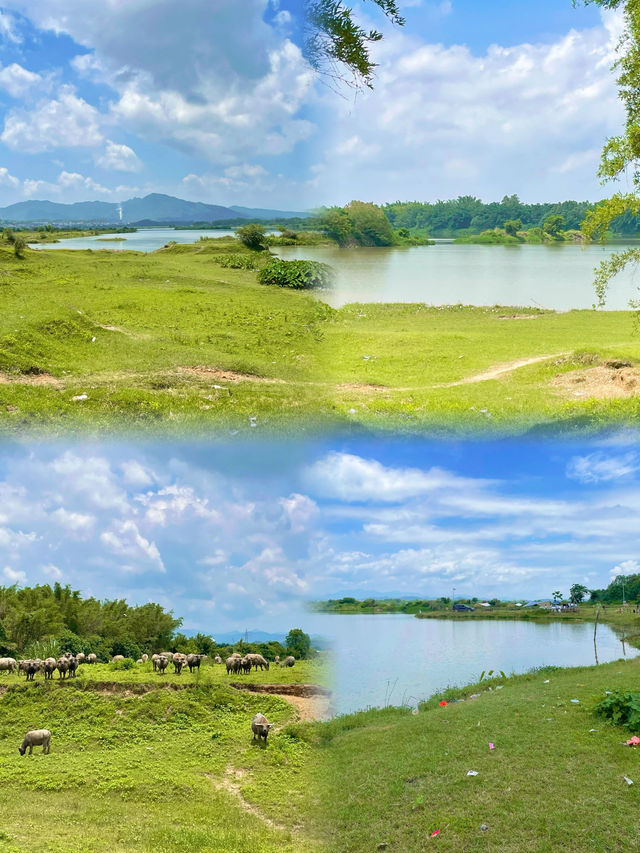 發現惠州橫歷新村露營草地，周末出遊好去處！