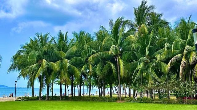 進入深冬，推薦一處溫暖如春的旅遊勝地