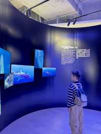 香港遛娃 | 聖誕親子遊玩攻略看這篇就夠