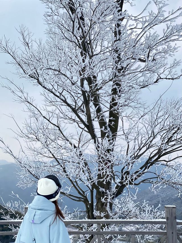攻略｜不是東北去不起！而是安吉更有性價比