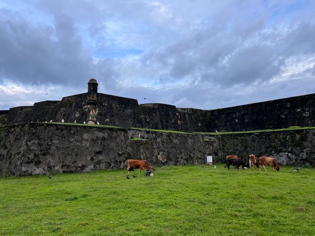 斯里蘭卡加勒古城