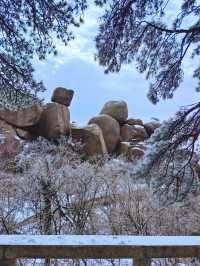 雪後天柱山宛若寫意山水畫！雪天攻略來啦！