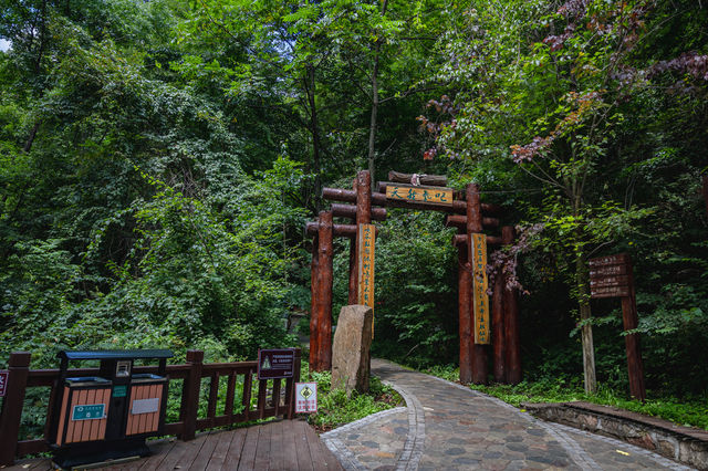 沈陽周邊遊|本溪楓林谷|國慶賞楓好去處