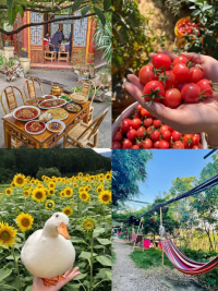 深圳農家樂團建好去處｜秋日DIY美食
