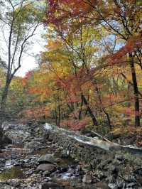 《關門山生態大峽谷景區》賞楓好去處