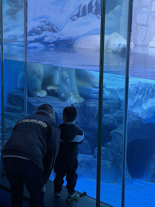 我真的沒想到！大連極地這麼好拍！！！