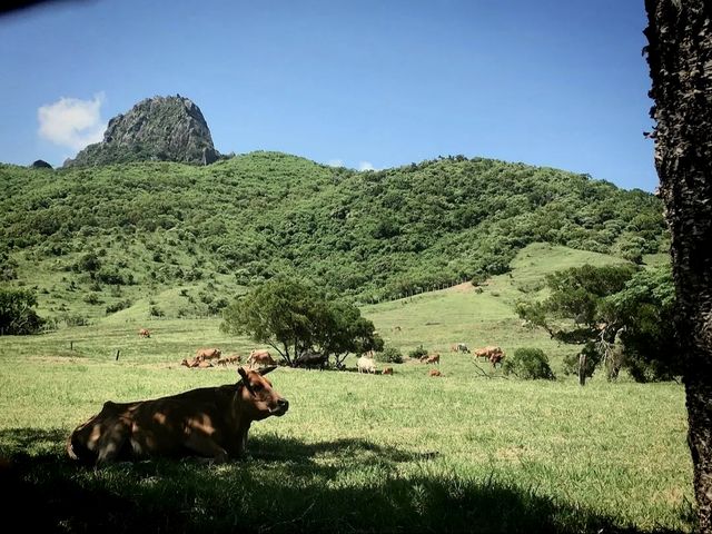 垦丁|打卡屏東垦丁牧場