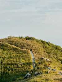 今年首次攀登的山是深圳大岭古