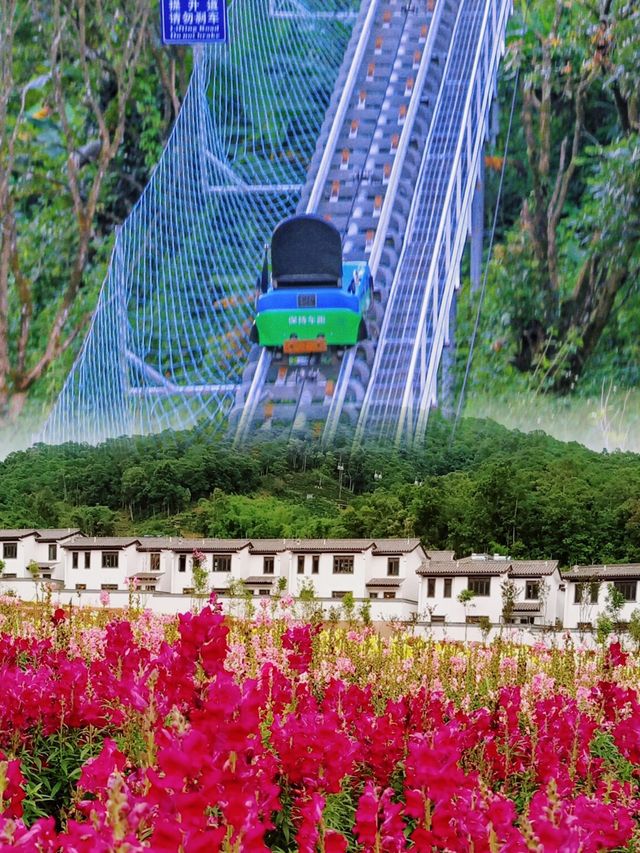 普洱·茶馬古道｜探訪“茶馬歲月”的前世今生