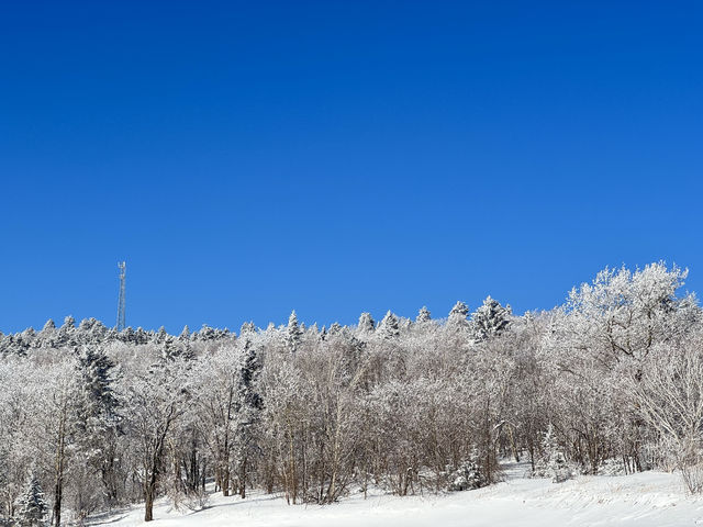 雪嶺芬蘭即視感