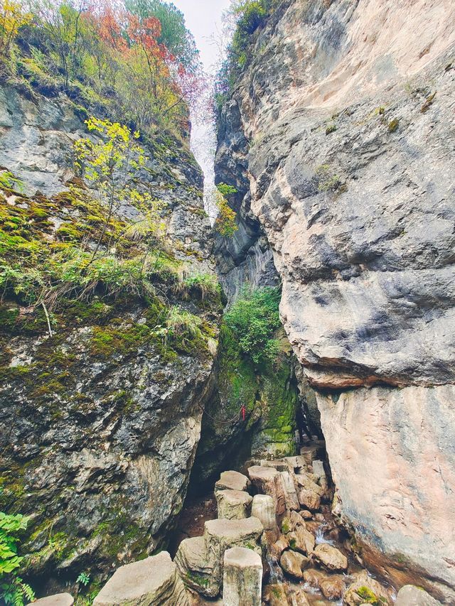 定西渭河源旅遊景點攻略