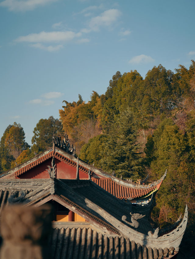 我原本以為成都文殊院已經夠美了，直到我去了這座古寺