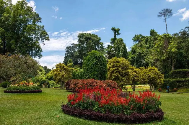 Royal Botanic Gardens, Kandy