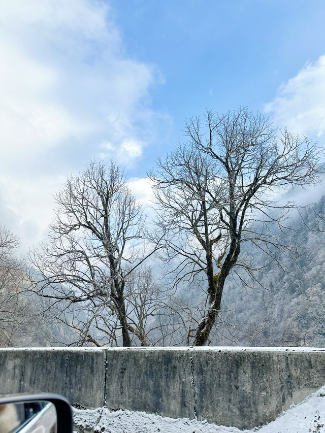 關於住畢棚溝景區內實現玩雪+溫泉自由攻略，整理了一些旅遊攻略