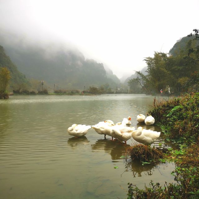 廣西鵝泉，一個來了還想再來的地方