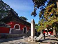 北京戒台寺旅遊攻略