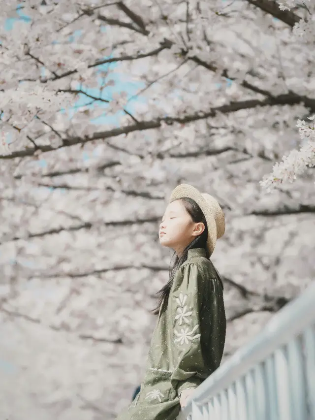 上海の桜の天井！！！