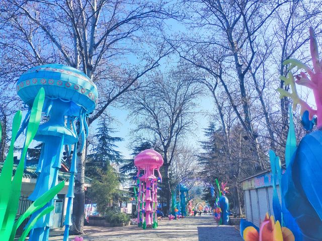 三月二十四日，春天裡三顧梅園，梅開一朵