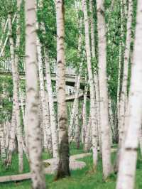 呼倫貝爾大草原+騎馬+親子旅行攻略來啦