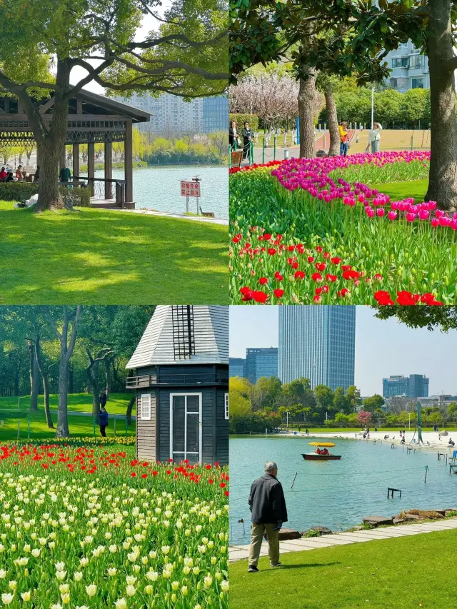 Daning Park | A Sea of 500,000 Tulips | Flower Viewing Map & Guide