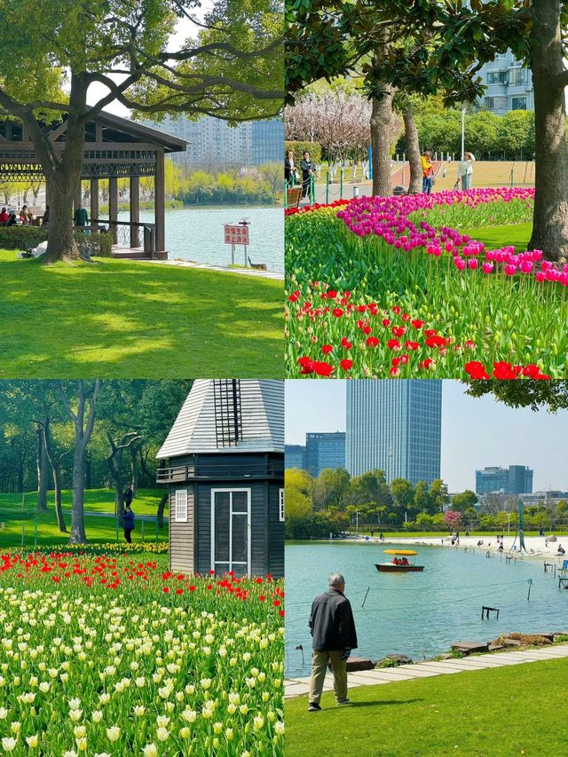 大寧公園｜50萬株鬱金香花海｜賞花地圖&攻略