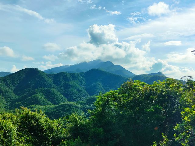 紅排角環線徒步，感受深圳最原始海岸線