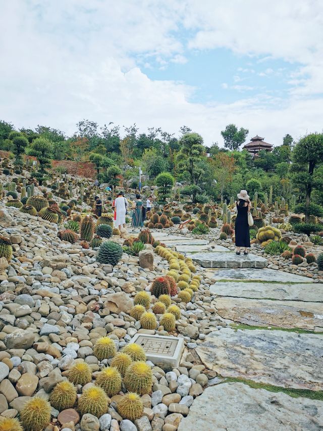 太平湖 | 石漠化公園