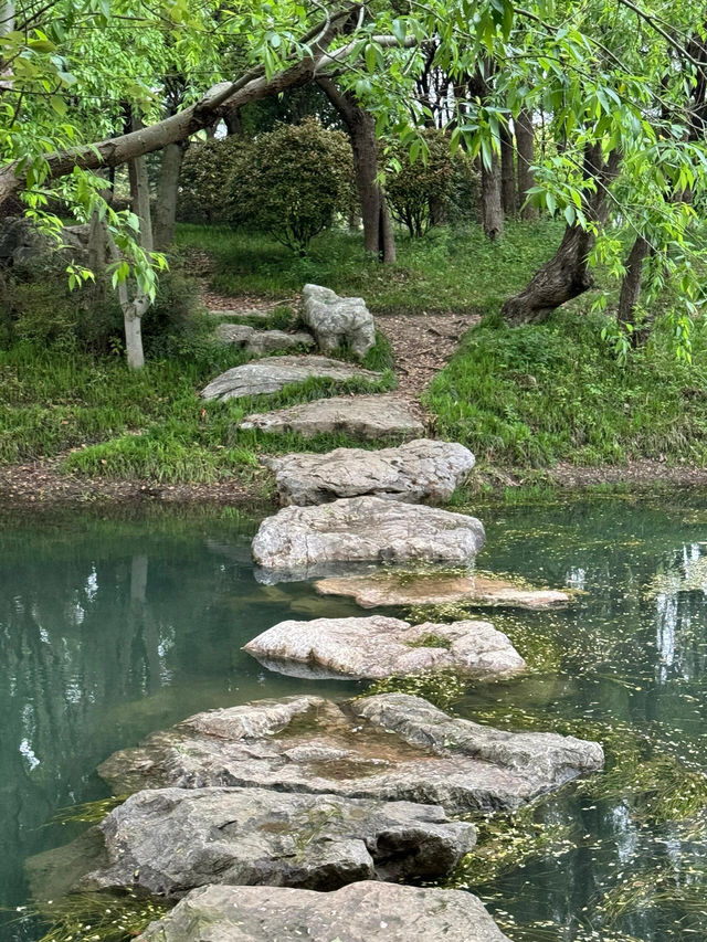 走進無錫貢湖灣濕地公園，感受原始森林之美