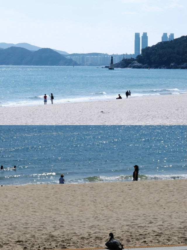 邀請你看釜山的海busan blue🩵