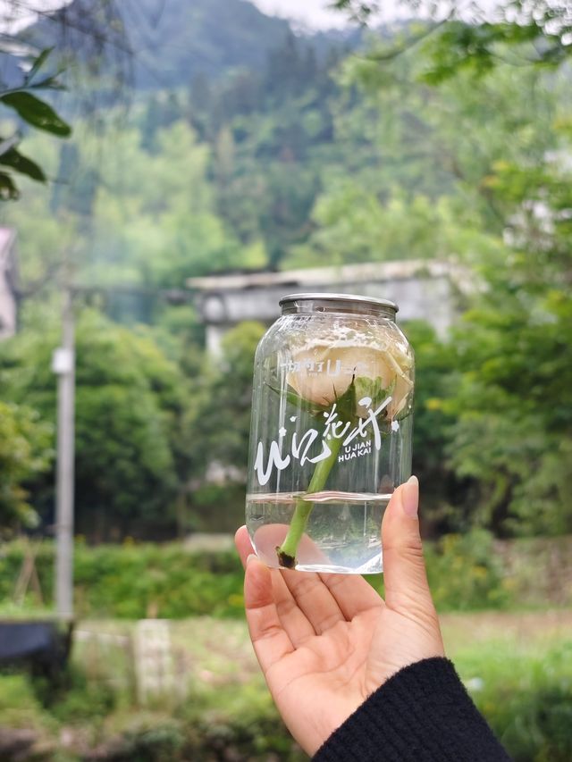 大自然的巧奪天工…三衢石林