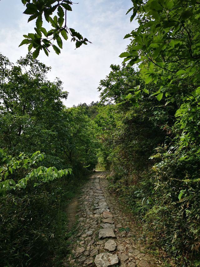 慈溪栲栳山