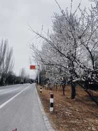 北京郊區｜我都找好地方了 夏日避暑玩水納涼任你選