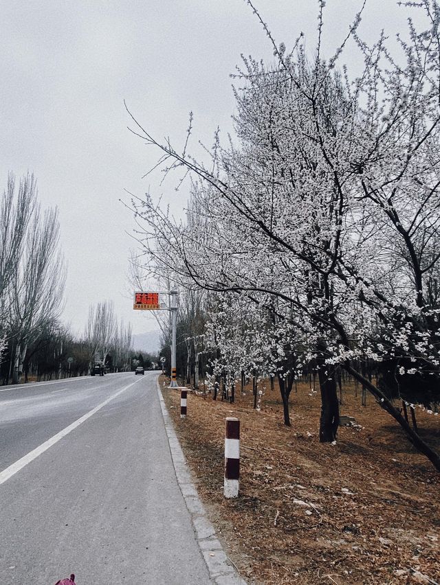 北京郊區｜我都找好地方了 夏日避暑玩水納涼任你選