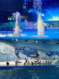 五一親子遊，歐樂堡承包你的美好回憶