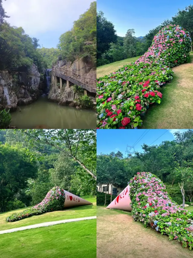 Xiamen's Hidden Gem: Tianzhu Mountain Forest Park, a fairyland where you can check in for free!
