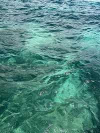 三亞百福島 絕美玻璃海 浮潛聖地